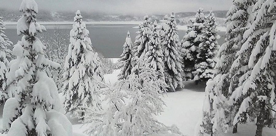 ΕΚΤΑΚΤΟ – Σε «Σιβηρία» μετατράπηκαν τα Σκόπια από την χιονοθύελλα που θα χτυπήσει και την Ελλάδα τις επόμενες ώρες – Κλεισμένοι στα σπίτια τους οι κάτοικοι